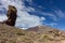 Views of Roques de Garcia near Teide in Tenerife Spain