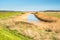 Views of salt marshes surrounded by reeds