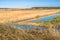 Views of salt marshes surrounded by reeds