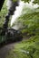 Views seen from the Cass Scenic Railroad, West Virginia