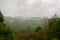 Views seen from the Cass Scenic Railroad, West Virginia