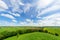 Views of Southgate Moor and the Somerset Levels from Burrow Mump