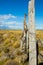 Views of steppe landscape of Pampas, Patagonia