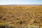 Views of steppe landscape of Pampas, Patagonia