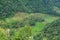 views of terraced rice fields