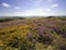 Views from thomas hardy monument dorset england