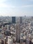 Views of Tokyo from the observation deck