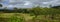 Views of vineyards in the Mount View area of the Hunter Valley, NSW, Australia