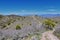 Views of Wasatch Front Rocky Mountains from the Oquirrh Mountains in early spring, Hiking in Yellow Fork trail and Rose Canyon in