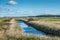 Views of waterway surrounded by reeds, from Norfolk Coast path National Trail near Burnham Overy Staithe