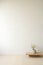 A vignette of a Japanese apartment with an empty white room, a s