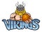 Viking Basketball Sports Mascot