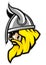 Viking head mascot