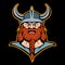 Viking head mascot logo , vector graphic