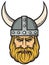 Viking head vector illustration