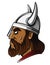 Viking Head Warrior vector illustration