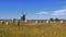 Viking stone ship burial in Oland island, Gettlinge, Sweden