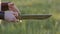 Viking warrior throws a knife from hand to hand on the background of a stunningly beautiful sunset in the field. Very cool and bea