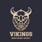 Vikings logo, bearded warrior in horned helmet