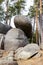 Viklan boulder, rock near Zihle, Pilsen region, Czech republic