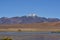 vikunja in front of Volcano Atacama Desert Chile South America