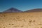 Vikunjas in the Atacama desert in front of a volcano