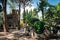 Villa Comunale Di Taormina. Public garden of Taormina city in Sicily, Italy