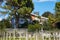 Villa with garden and maritime pines in a sunny summer day, blue sky