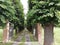Villa gates and  tree lined driveway  in Italy   Europe