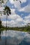 Villa infinity pool with a palm tree and rain forest with blue and clouds in the sky in Bali Indonesia