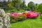 Villa Taranto. Rhododendrons in botanical garden, Stresa, Italy, Lombardy