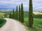 Villa in Tuscany with cypress road and blue sky, idyllic seasonal nature landscape vintage hipster background