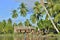 The Village of asmat people tribe on the river in Jungle of New Guinea.