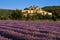 The village of Banon in Provence with lavender fields. Provence, France