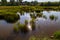 Village boggy river. Drying bodies of water due to climate change. Background with copy space