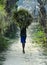 The village boy carrying branch grasses