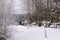 Village cemetery in the evening in winter, harsh climate