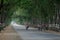 Village Children enjoying bike ride on an empty countryside road in India