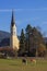 Village church schliersee with grazing horses in front