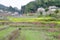 Village of depopulation in Shimane ounau-machi.