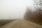 Village dirt road with many pits and trees on the sides, thick morning fog, deep autumn,gloomy mood. 1-st person view