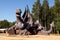 The village of Dobrenevo, Lagoisky district, Belarus, June 2022, a fairytale dragon near the MaliVur tourist complex, illustrative