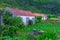 Village at Faja da Caldeira Santo Cristo at Sao Jorge island in