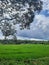 Village farm landscape trees hills forest multiple shades of green clouds nature