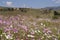 Village at the foothills of the mountains, Drakensberg, South Af