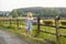 Village girl with a bag of milk and bread going through the fields with grazing cows. Summer rural life in Germany.