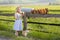 Village girl with a bag of milk and bread going through the fields with grazing cows. Summer rural life in Germany.