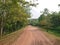 A village gravel road in the woods during autumn