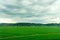 Village green field seen on the train journey from Rome to Florence in the morning during sunrise