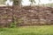 In village high wicker fence in traditional style next to a bush of red currant, behind a fence a birch, selective focus